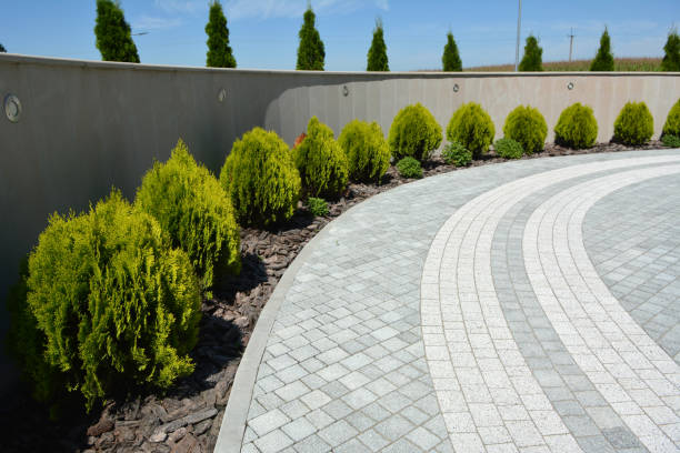 Best Driveway Paver Repairs and Restoration in Percy, IL